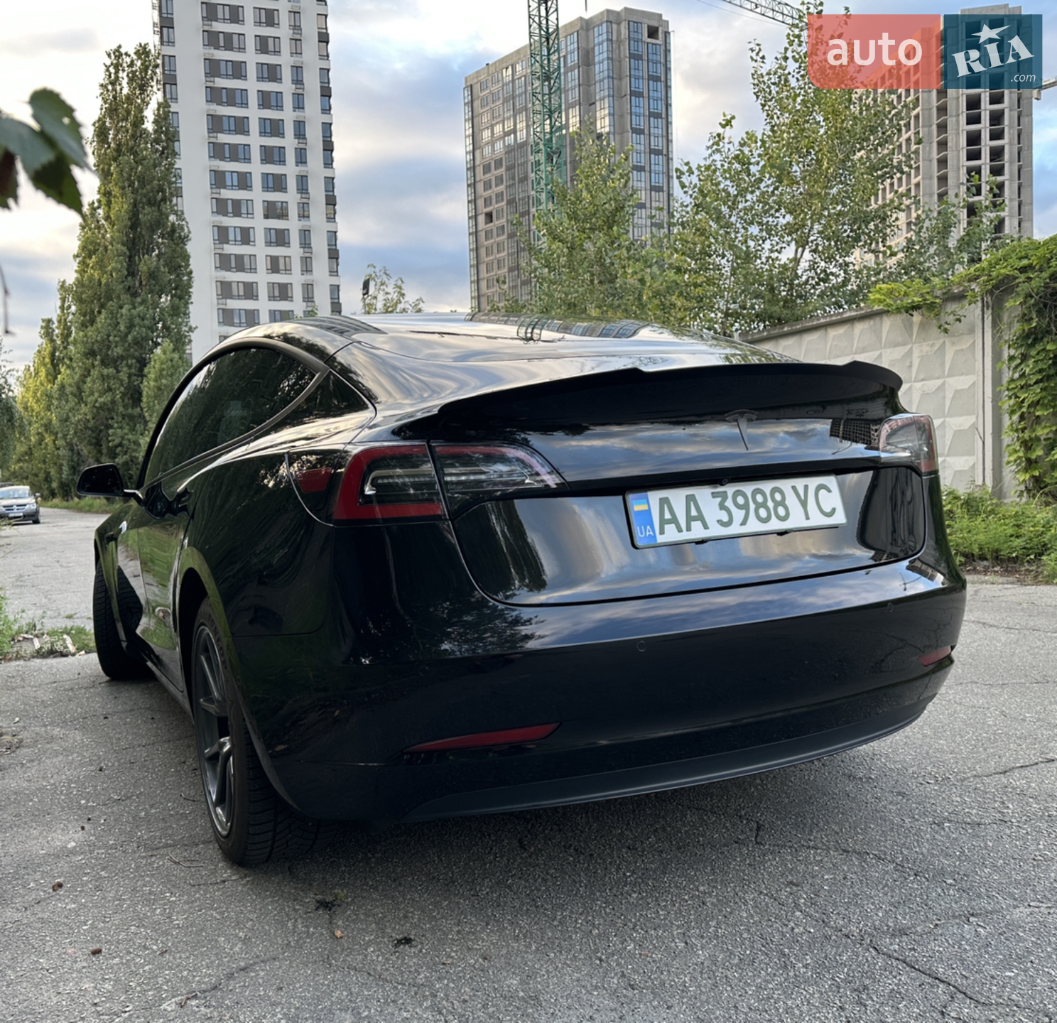 2019 Tesla Model 3 - мініатюра 6