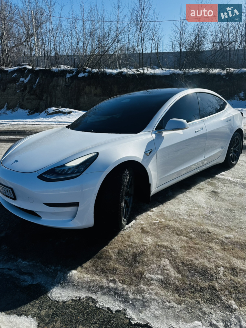 2019 Tesla Model 3 - мініатюра 29