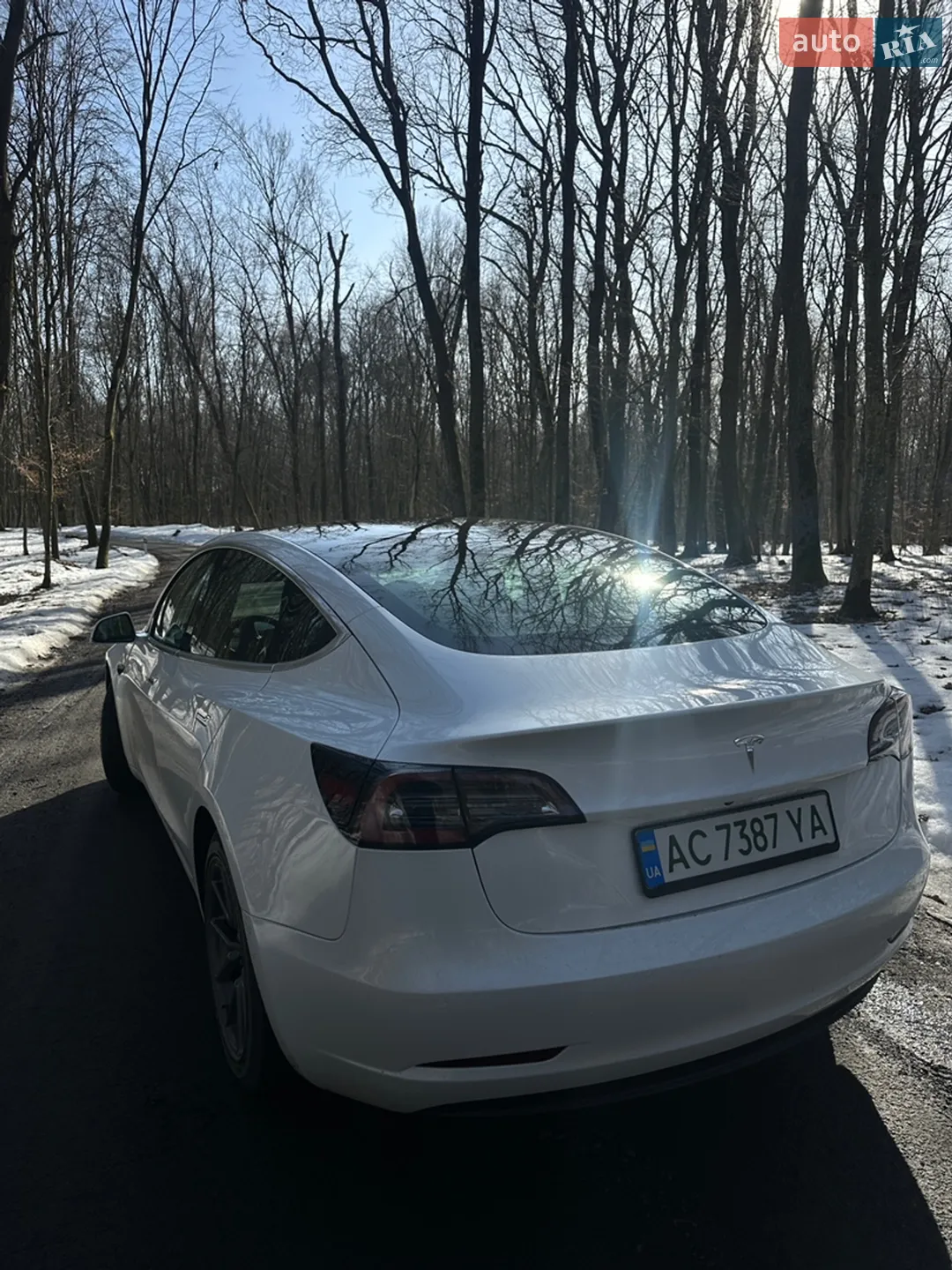 2019 Tesla Model 3 - мініатюра 9