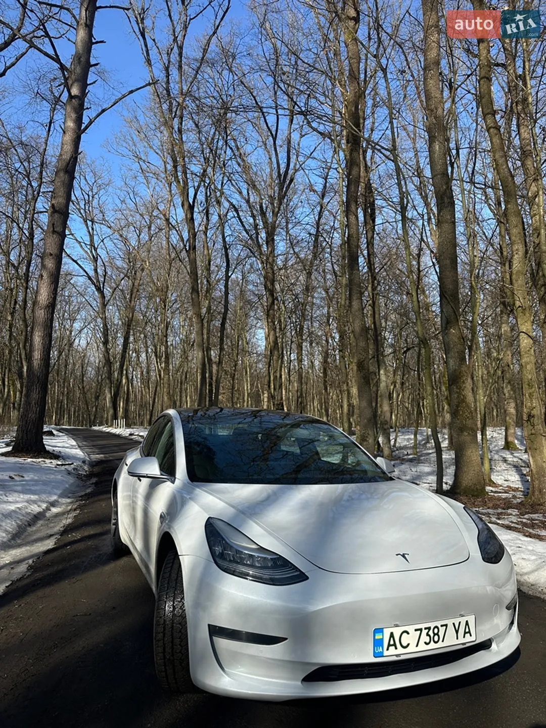 2019 Tesla Model 3 - мініатюра 4