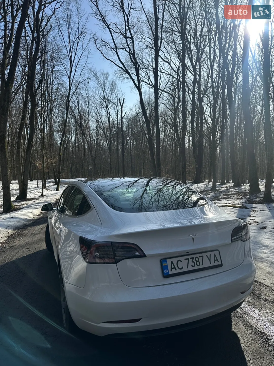 2019 Tesla Model 3 - мініатюра 10