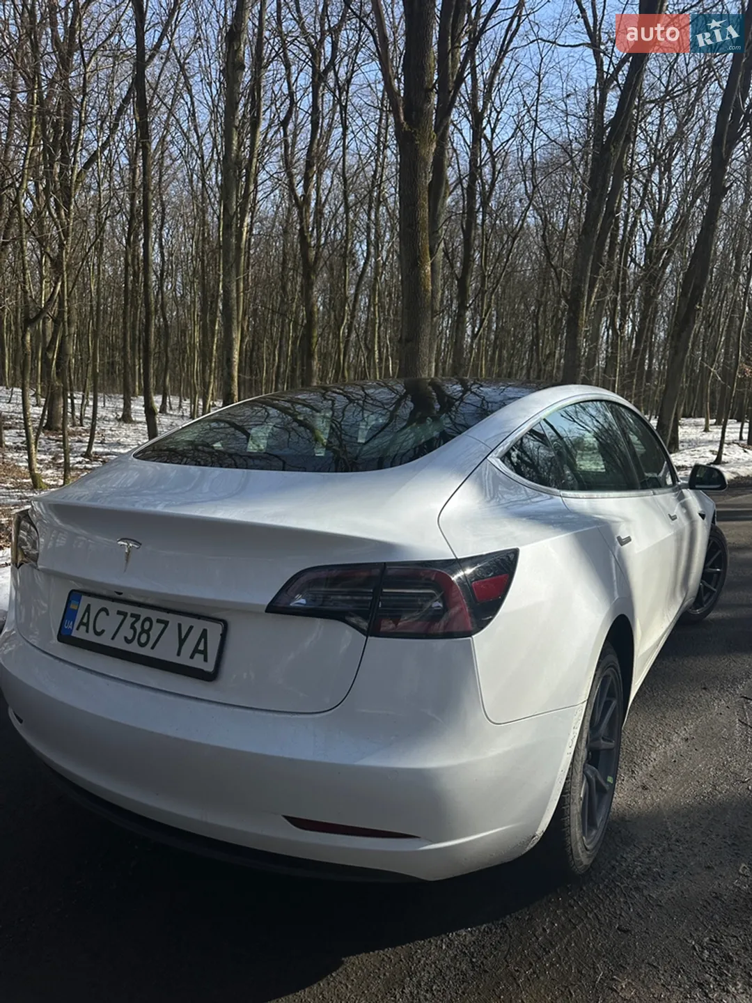 2019 Tesla Model 3 - мініатюра 11
