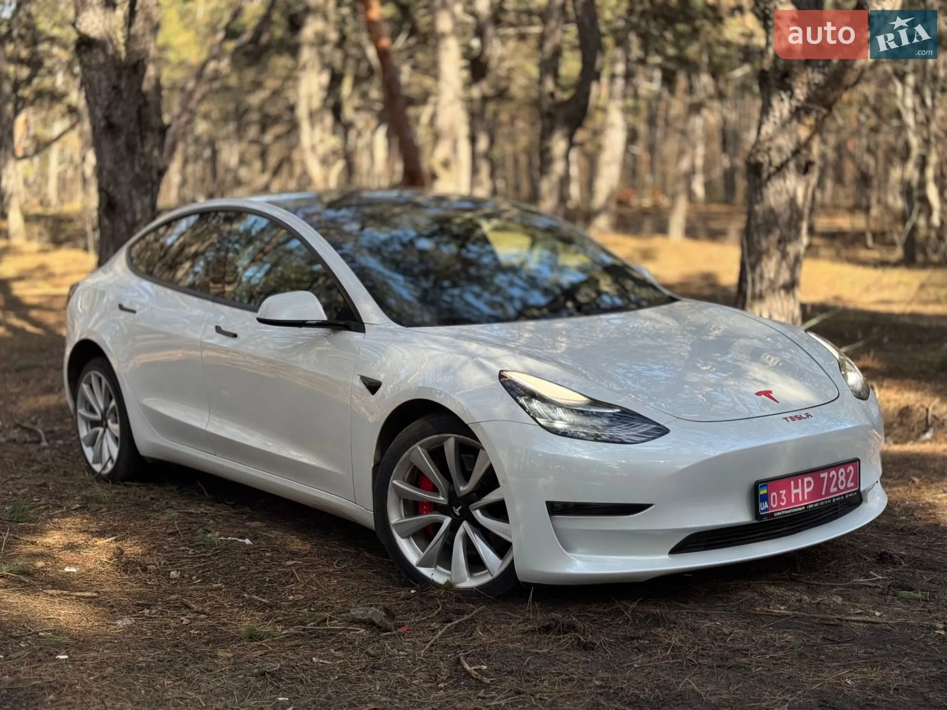 2019 Tesla Model 3 - мініатюра 3