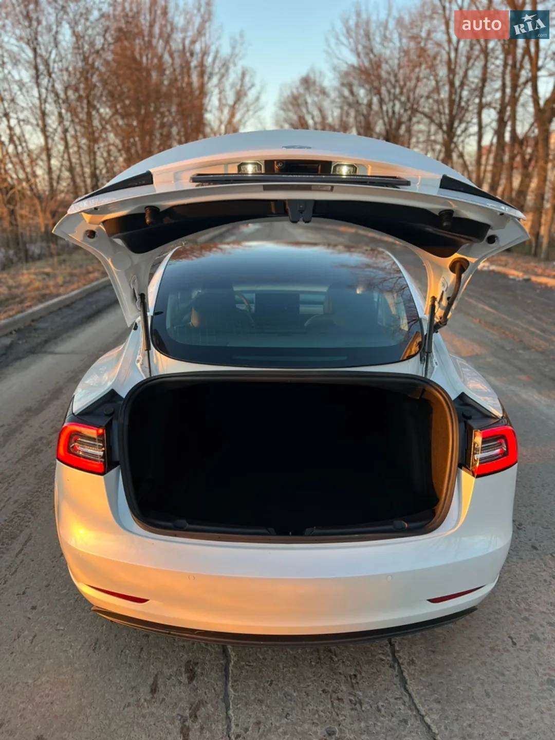 2019 Tesla Model 3 - мініатюра 29