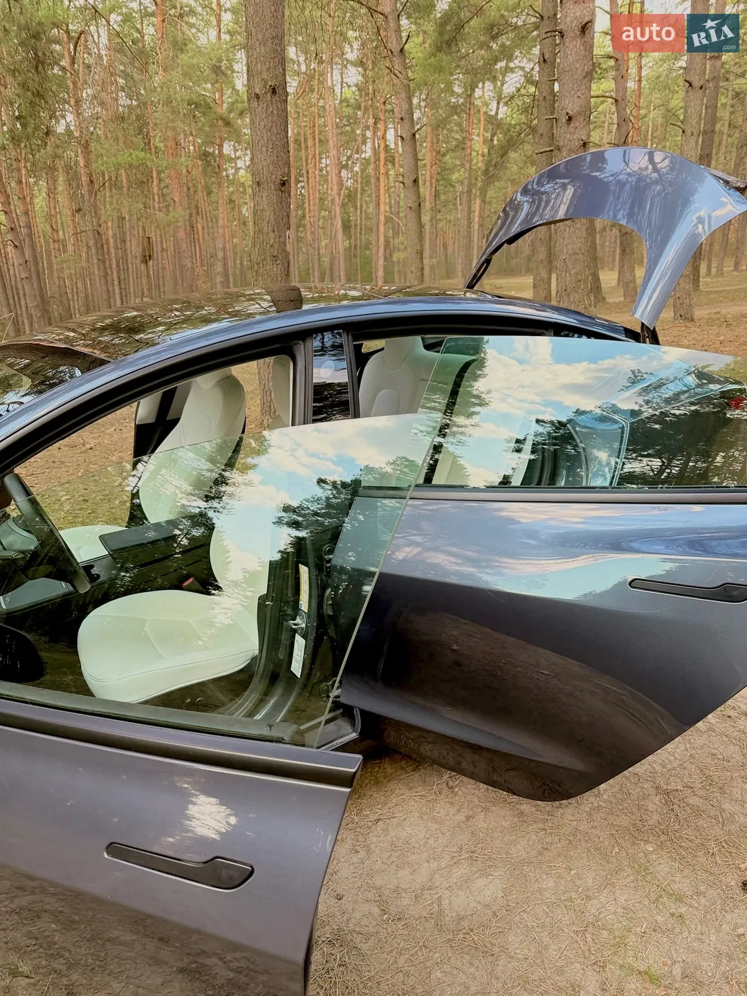 2022 Tesla Model 3 - мініатюра 22