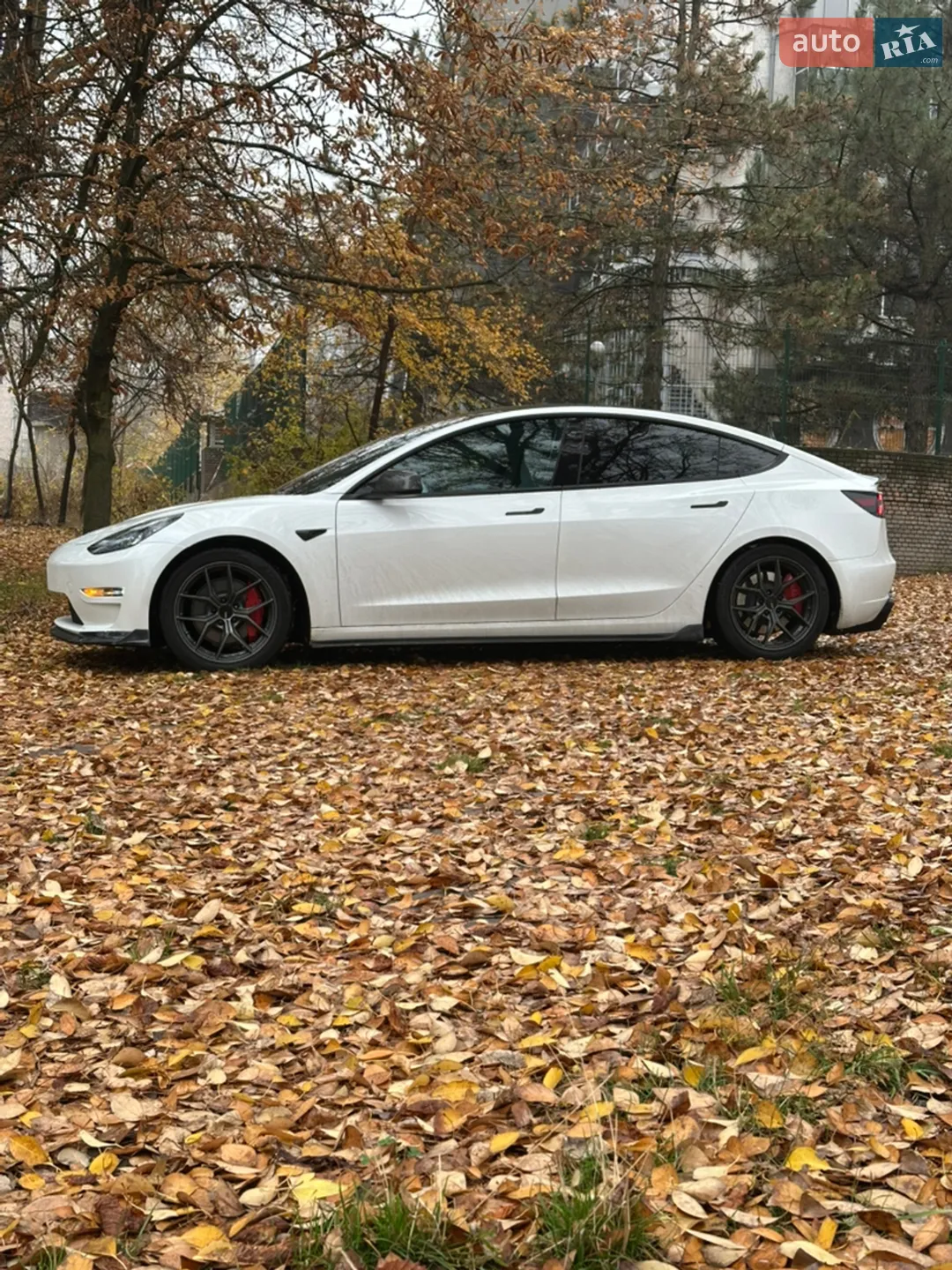 2022 Tesla Model 3 - мініатюра 6