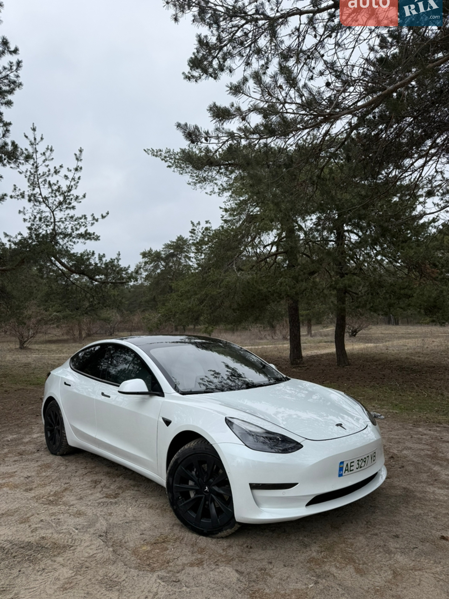 2021 Tesla Model 3 - фото 1