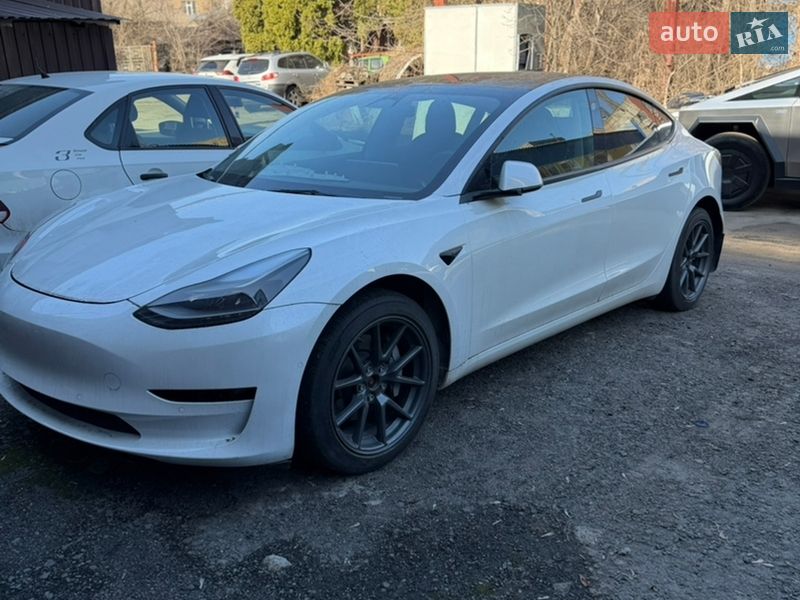 2022 Tesla Model 3, VIN 5YJ3E1EB4NF174175:plate — фото 1 (autoria)