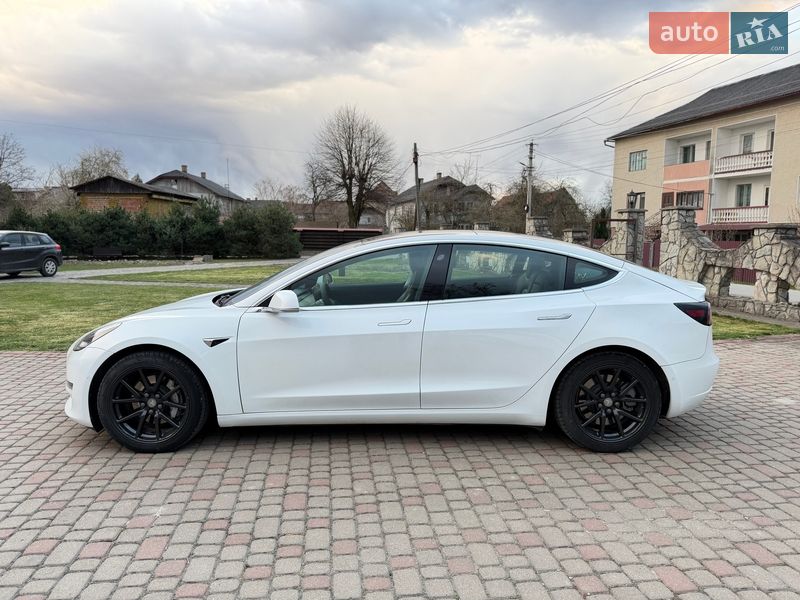 2019 Tesla Model-3, VIN 5YJ3E1EBXKF512013:plate — фото 1 (autoria)
