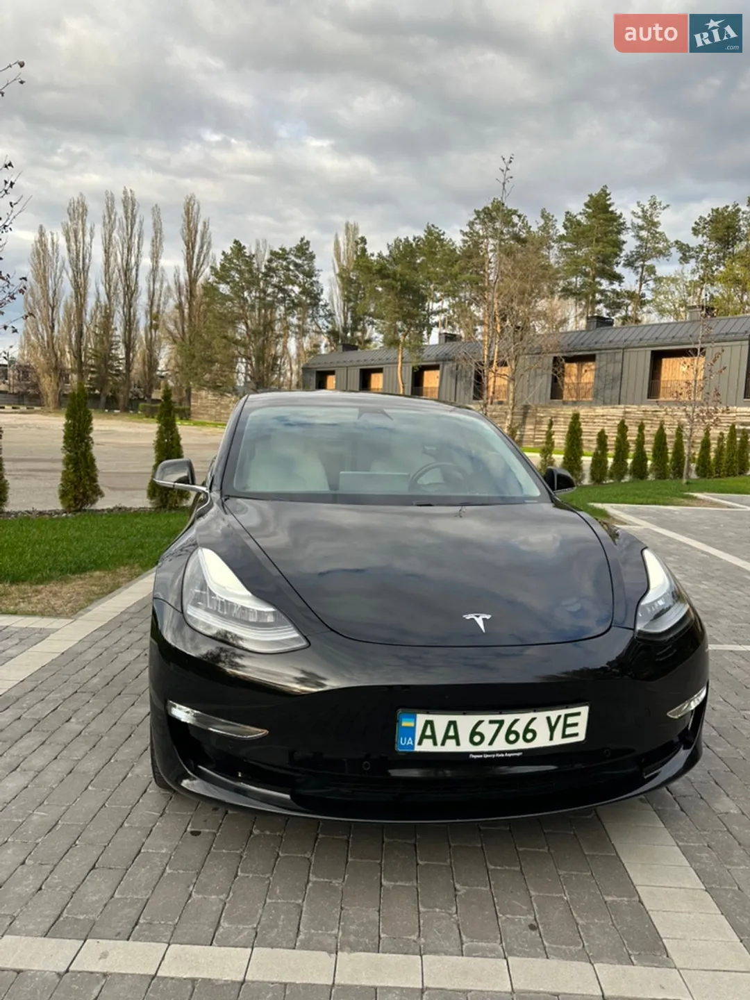 2019 Tesla Model 3 - мініатюра 2