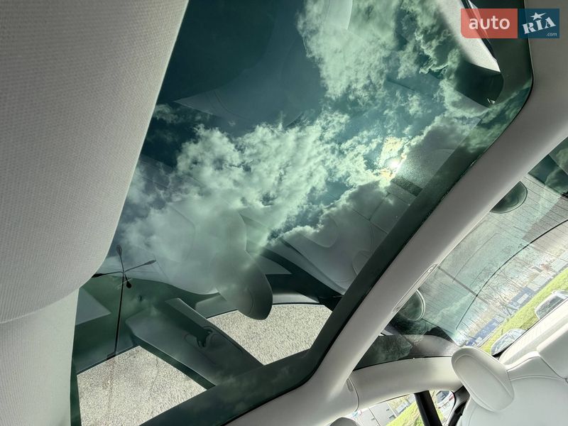 Седан Tesla Model 3 2019 в Кривому Розі