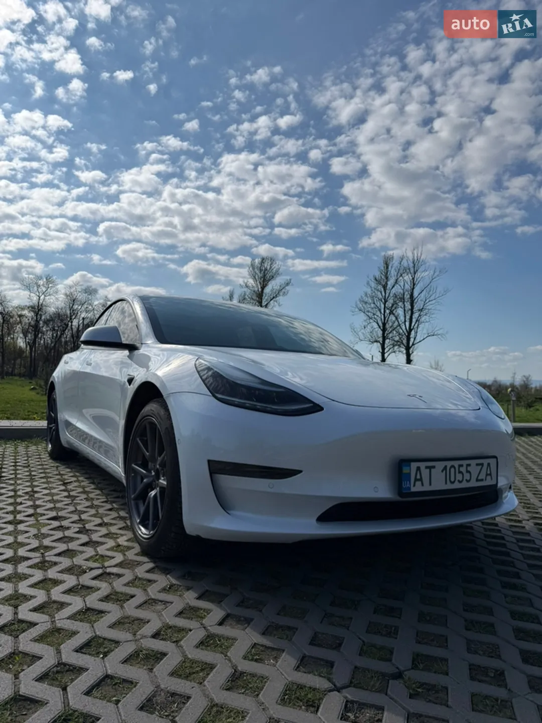 2019 Tesla Model 3 - фото 1