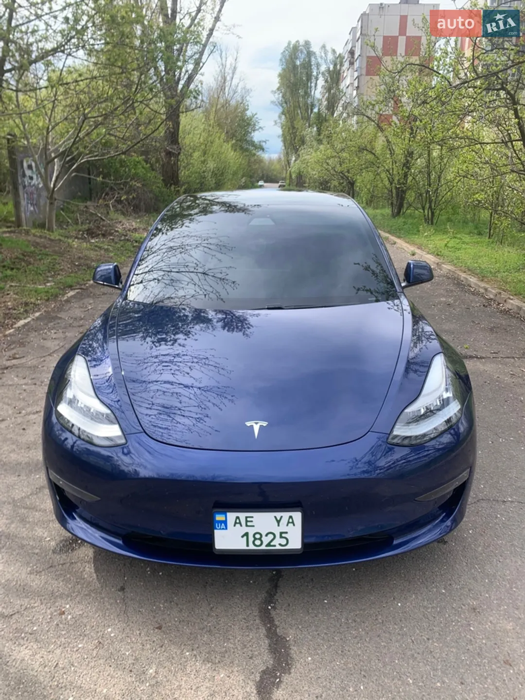 2019 Tesla Model 3 - мініатюра 12