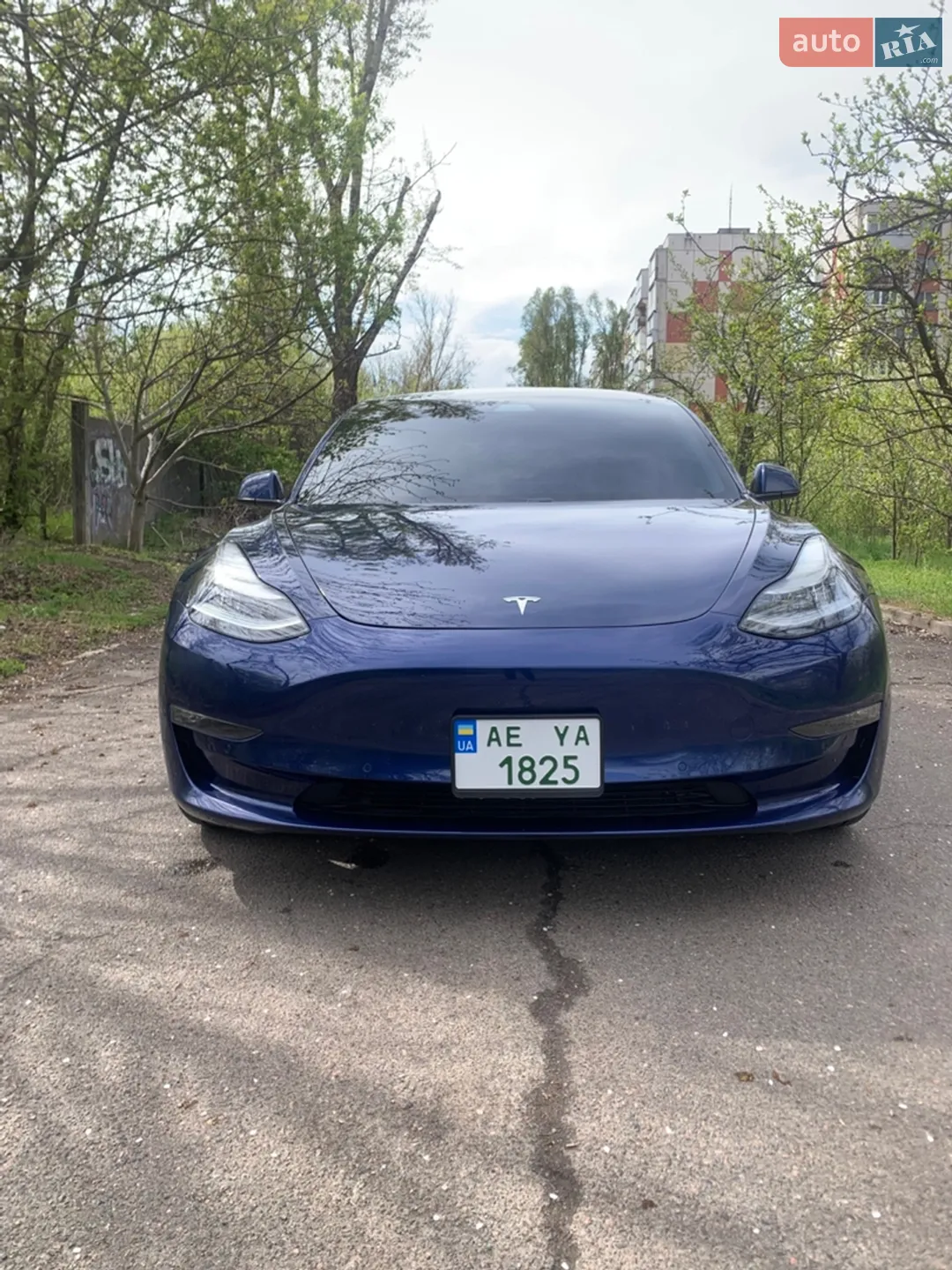 2019 Tesla Model 3 - мініатюра 13