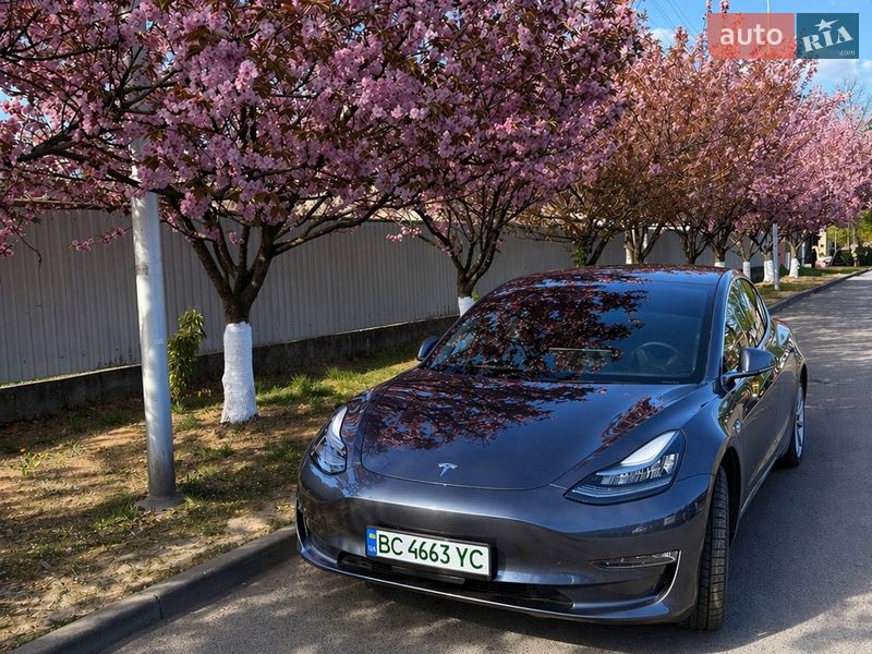 Tesla Model 3 2019