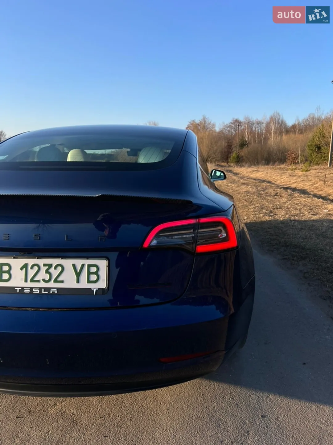 2018 Tesla Model 3 - мініатюра 2