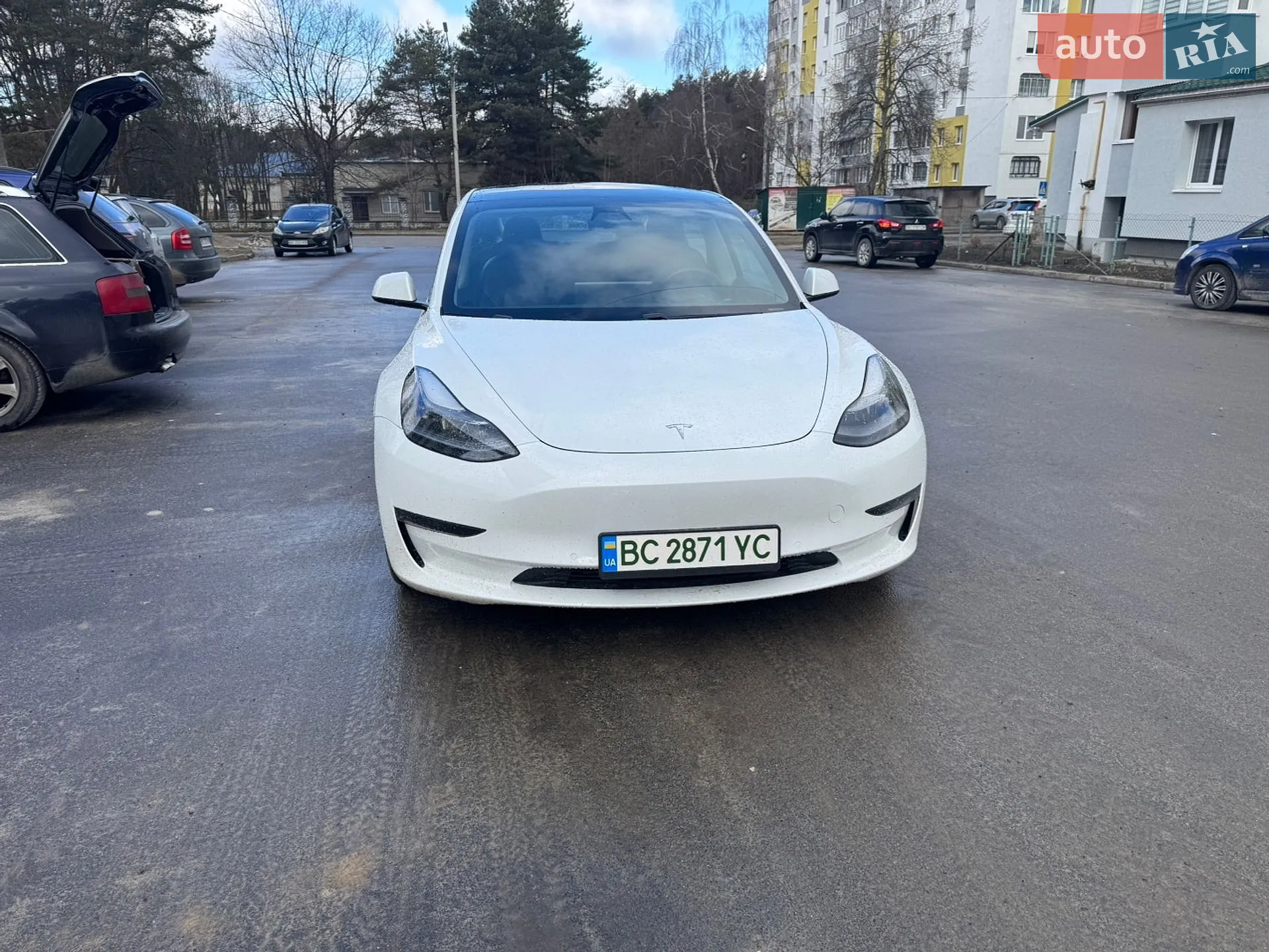 2021 Tesla Model 3 - фото 1