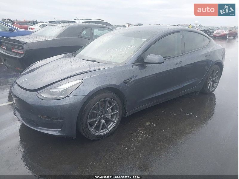 Седан Tesla Model 3 2023 в Ужгороді