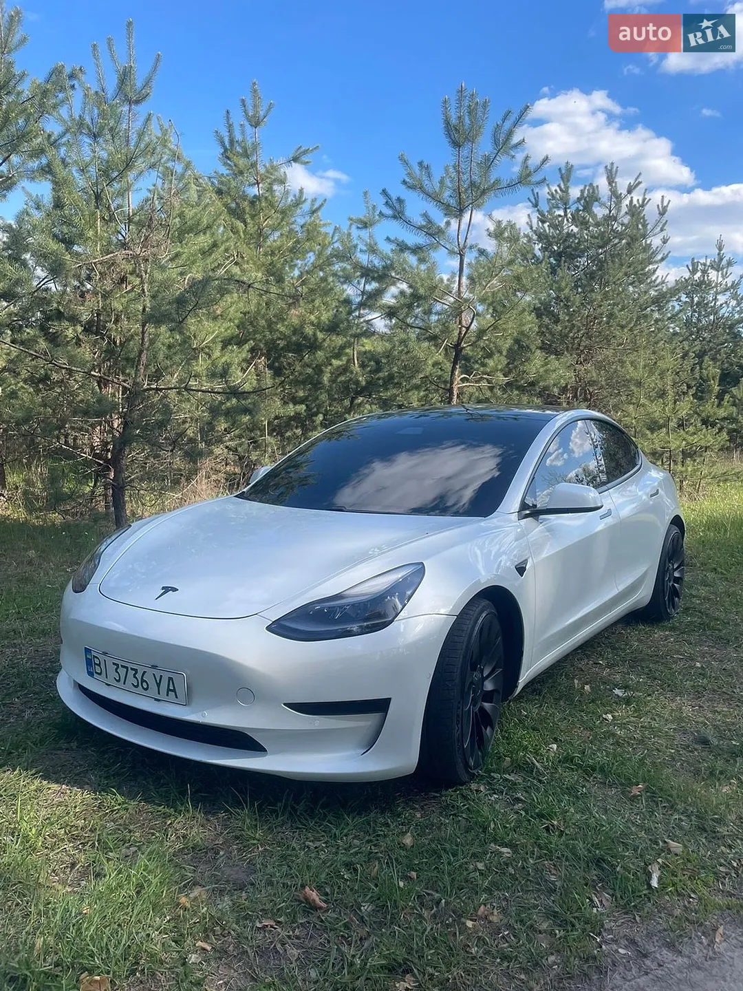 2021 Tesla Model 3 - фото 1