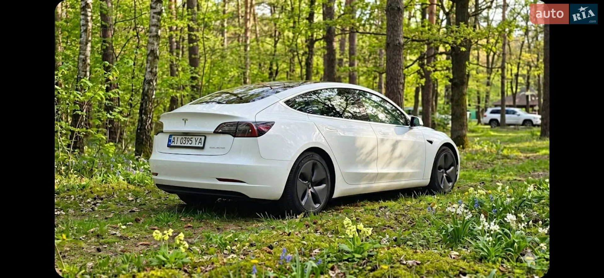 2020 Tesla Model 3 - мініатюра 36