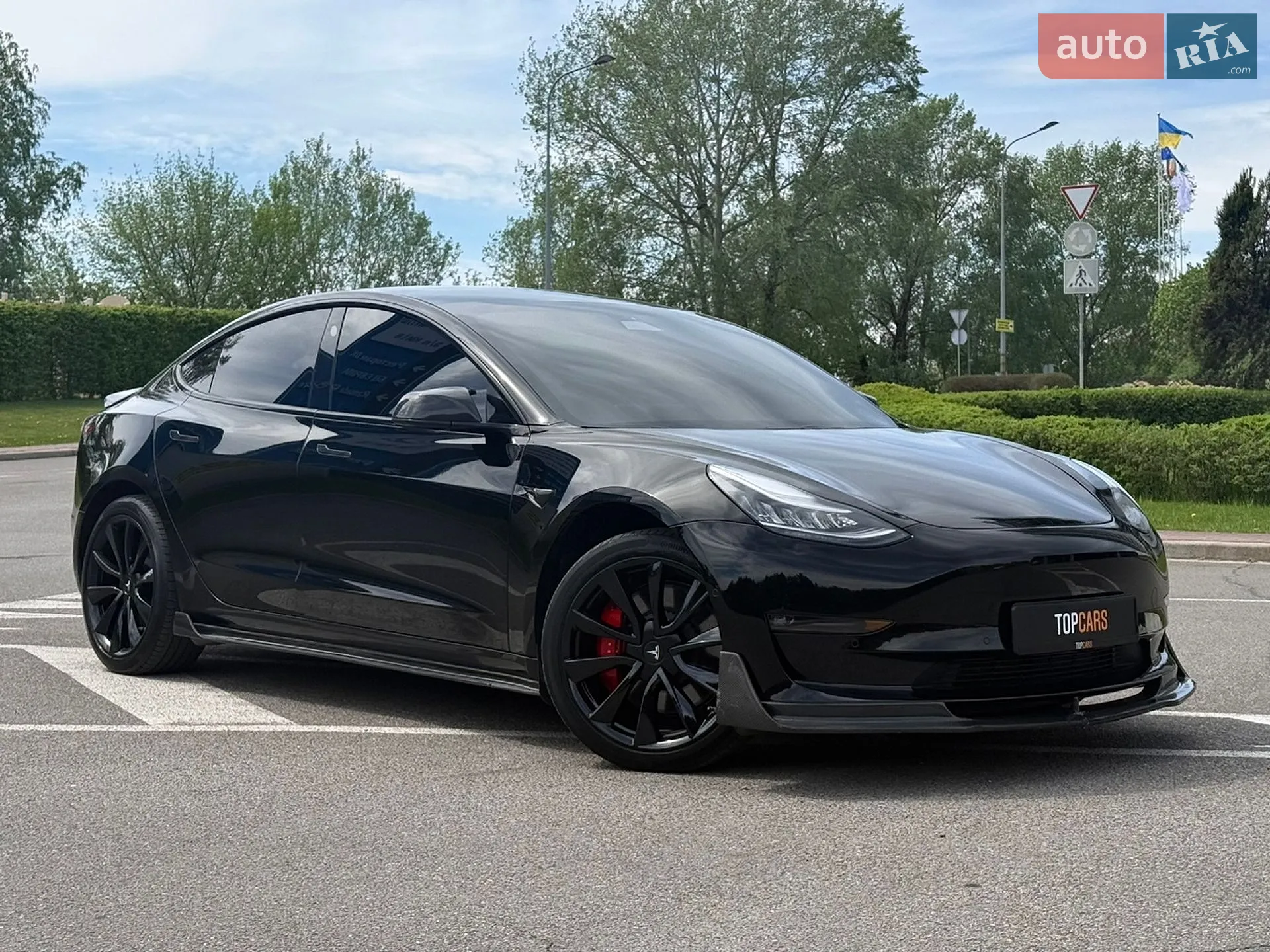 2019 Tesla Model 3 - мініатюра 19