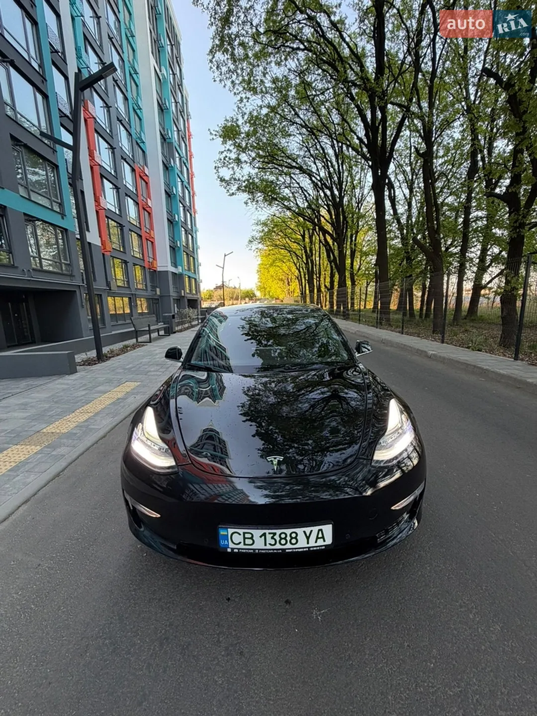 2019 Tesla Model 3 - мініатюра 12