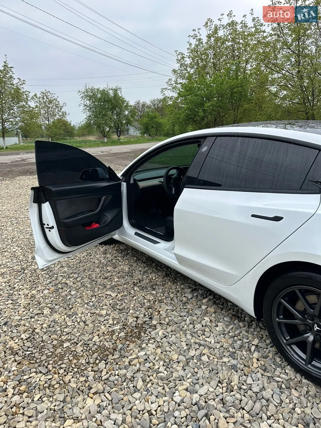 2019 Tesla Model 3 - мініатюра 11