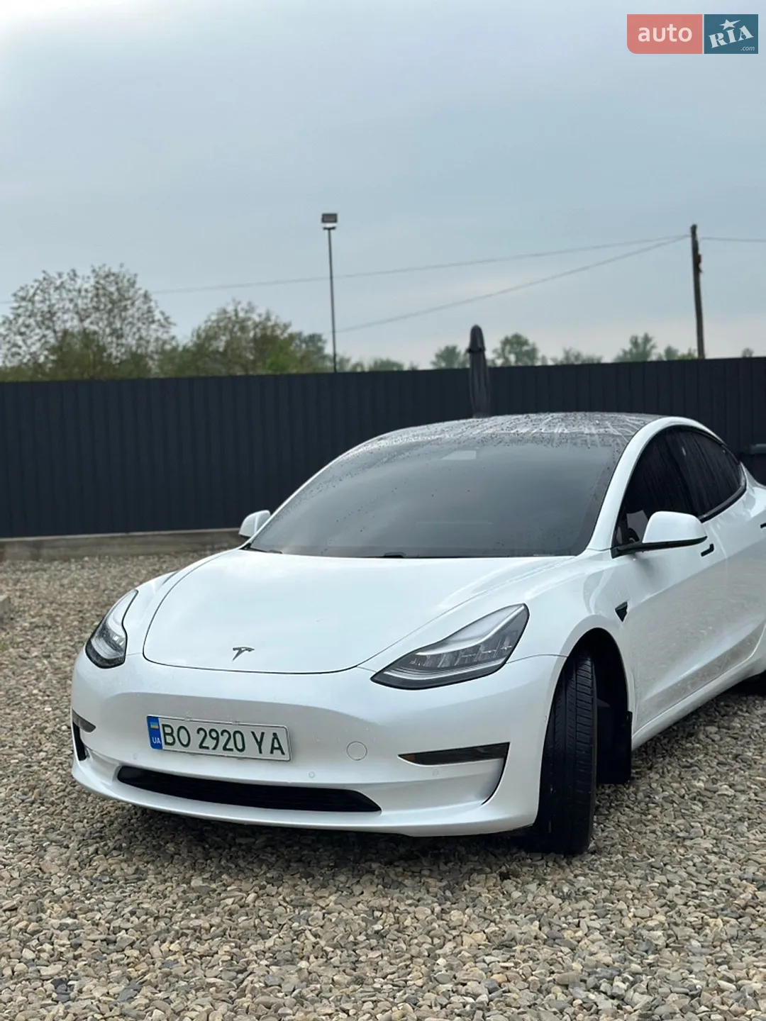 2019 Tesla Model 3 - мініатюра 15