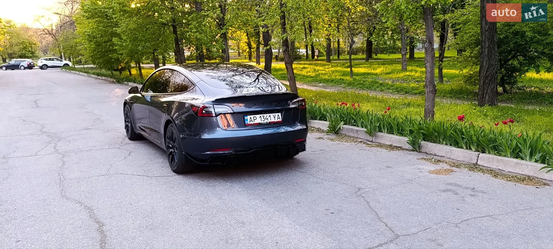 2021 Tesla Model 3 - мініатюра 12