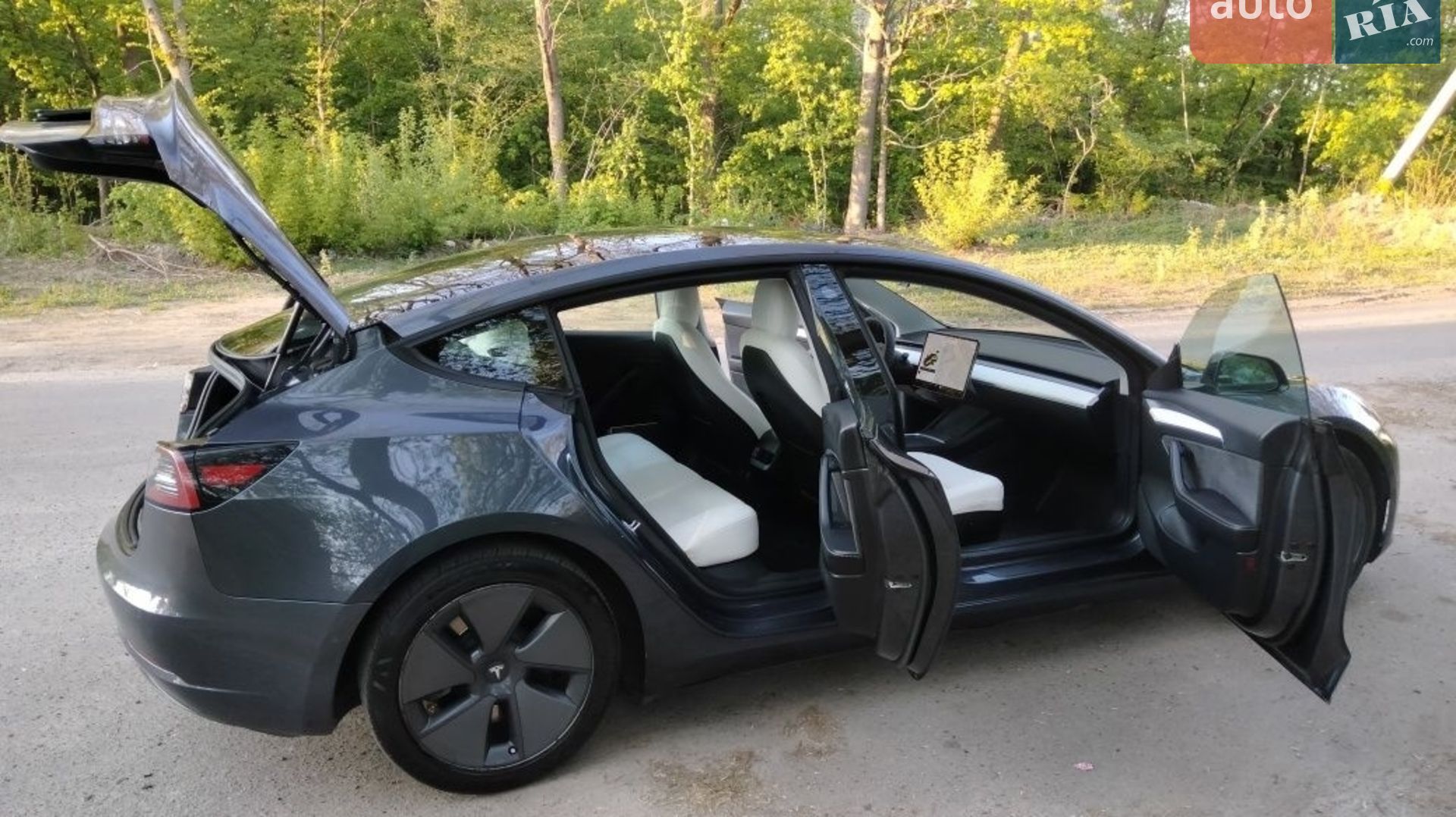 2021 Tesla Model 3 - мініатюра 14