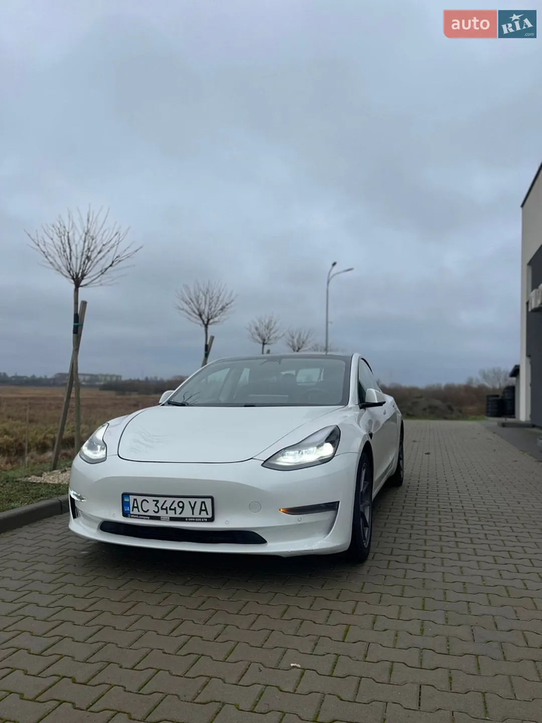 2021 Tesla Model 3 - мініатюра 5