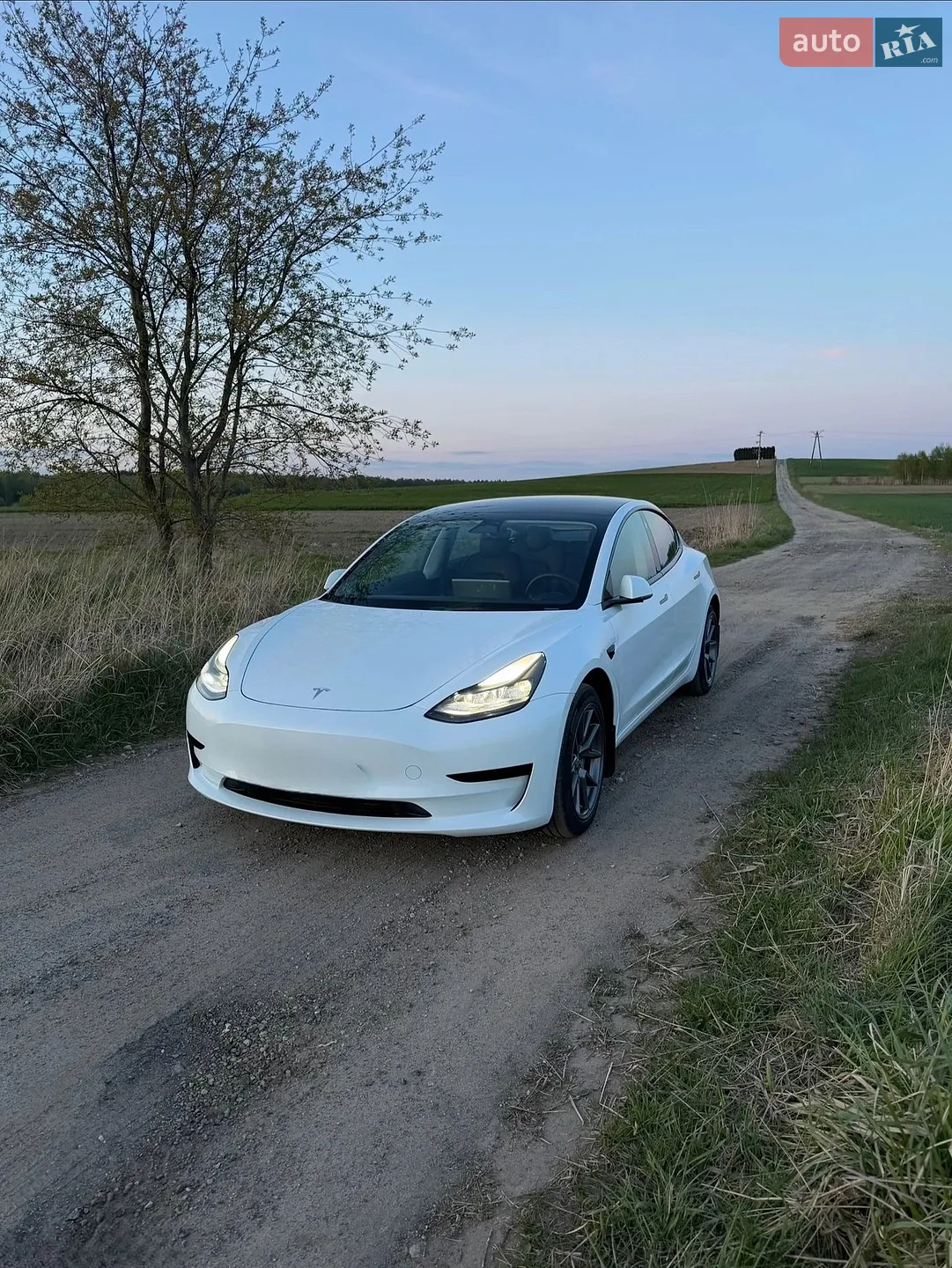 2022 Tesla Model 3 - мініатюра 4