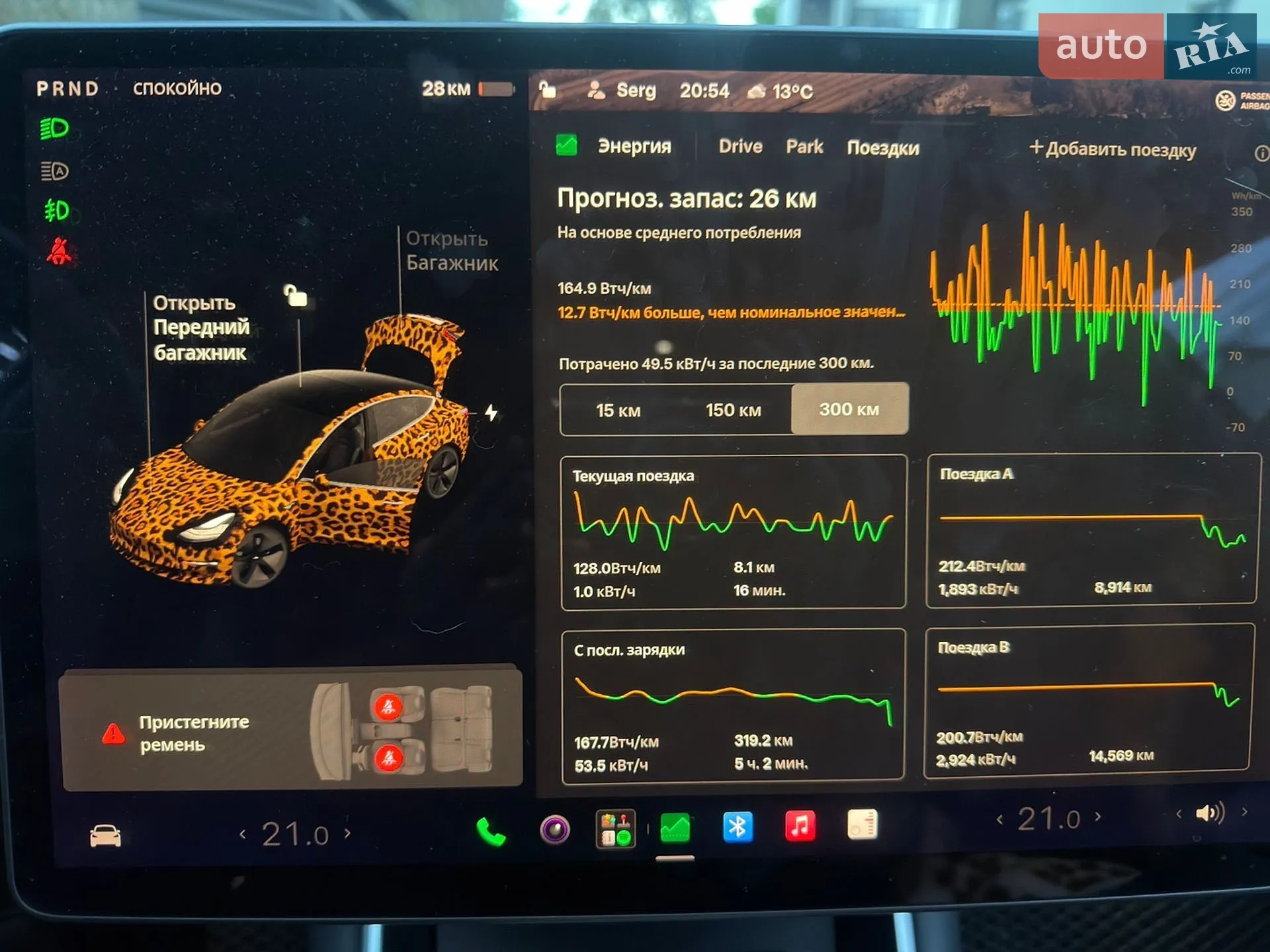 2019 Tesla Model 3 - мініатюра 12