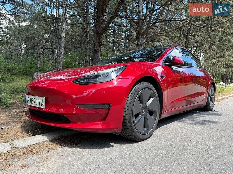 2021 Tesla Model 3, VIN 5YJ3E1EB8MF902840:plate — фото 1 (autoria)