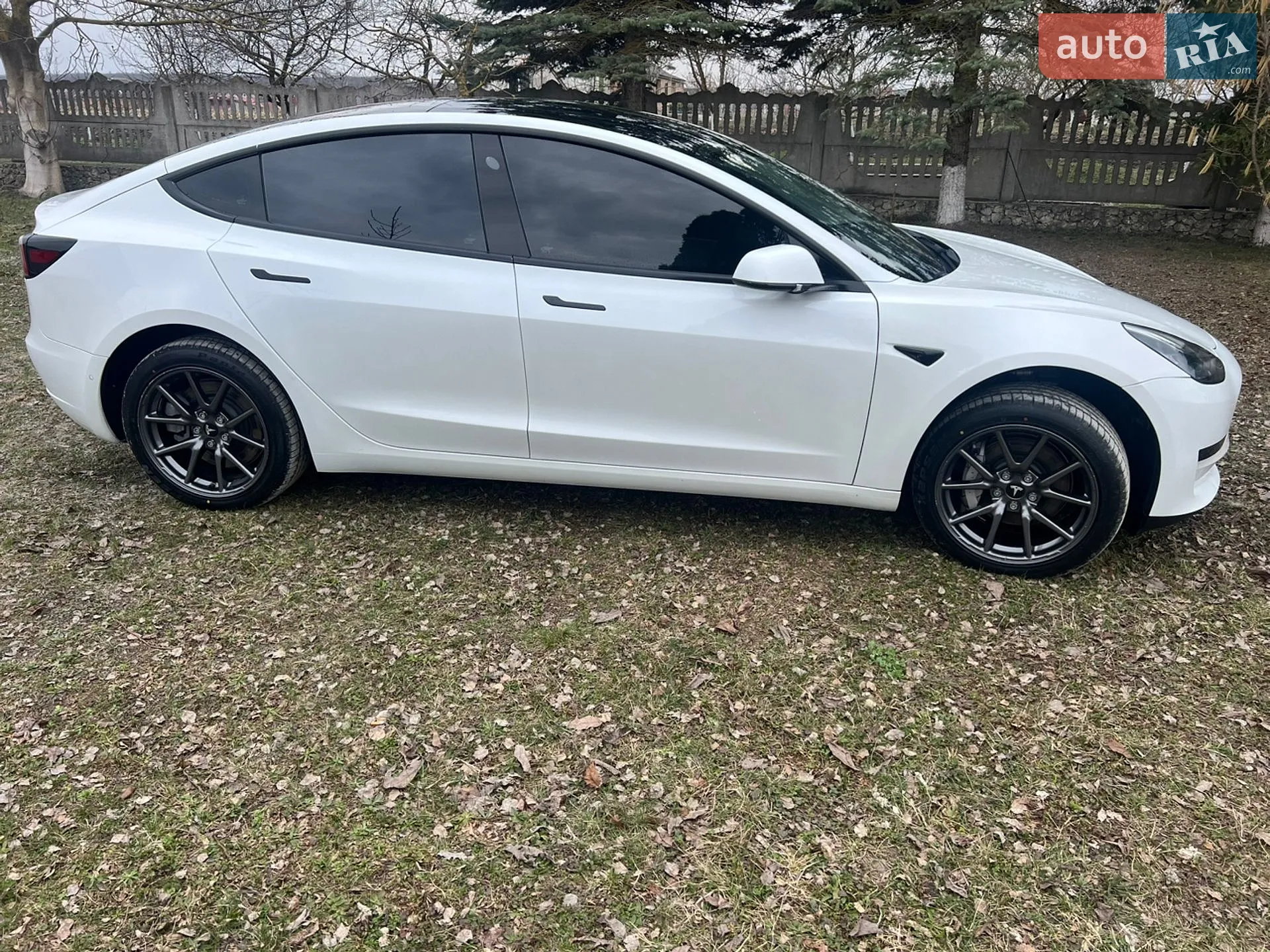 2020 Tesla Model 3 - фото 1