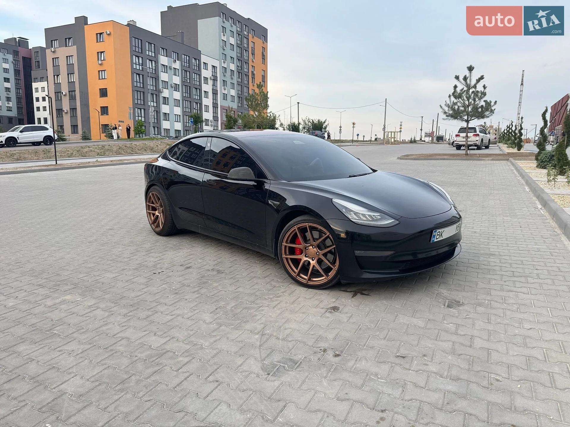 2018 Tesla Model 3 - мініатюра 3