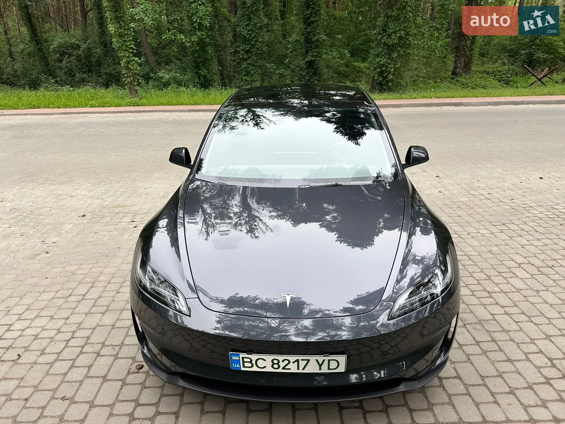 2025 Tesla Model 3 - мініатюра 8