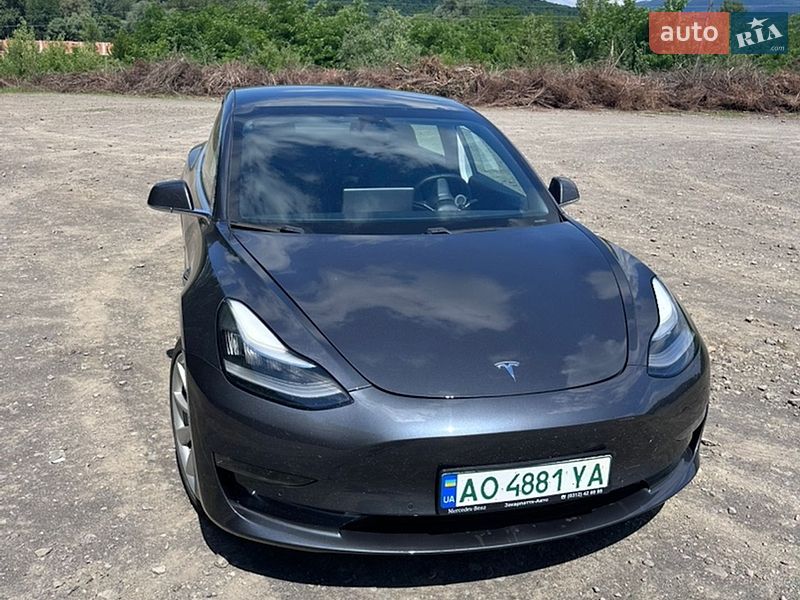 2019 Tesla Model 3, VIN 5YJ3E1EB8KF477455:plate — фото 1 (autoria)