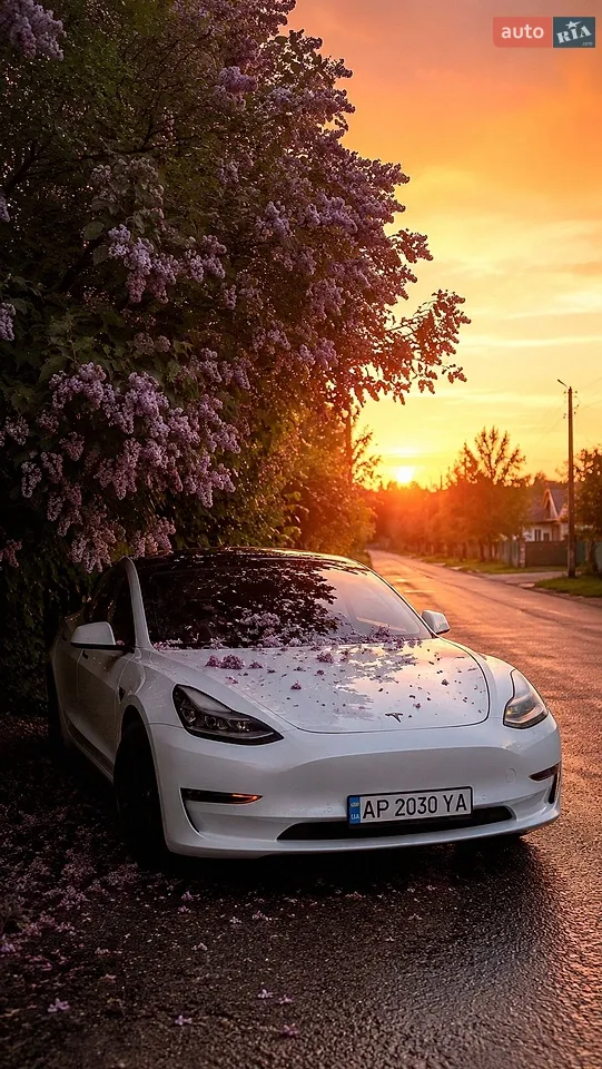 2022 Tesla Model 3 - мініатюра 19
