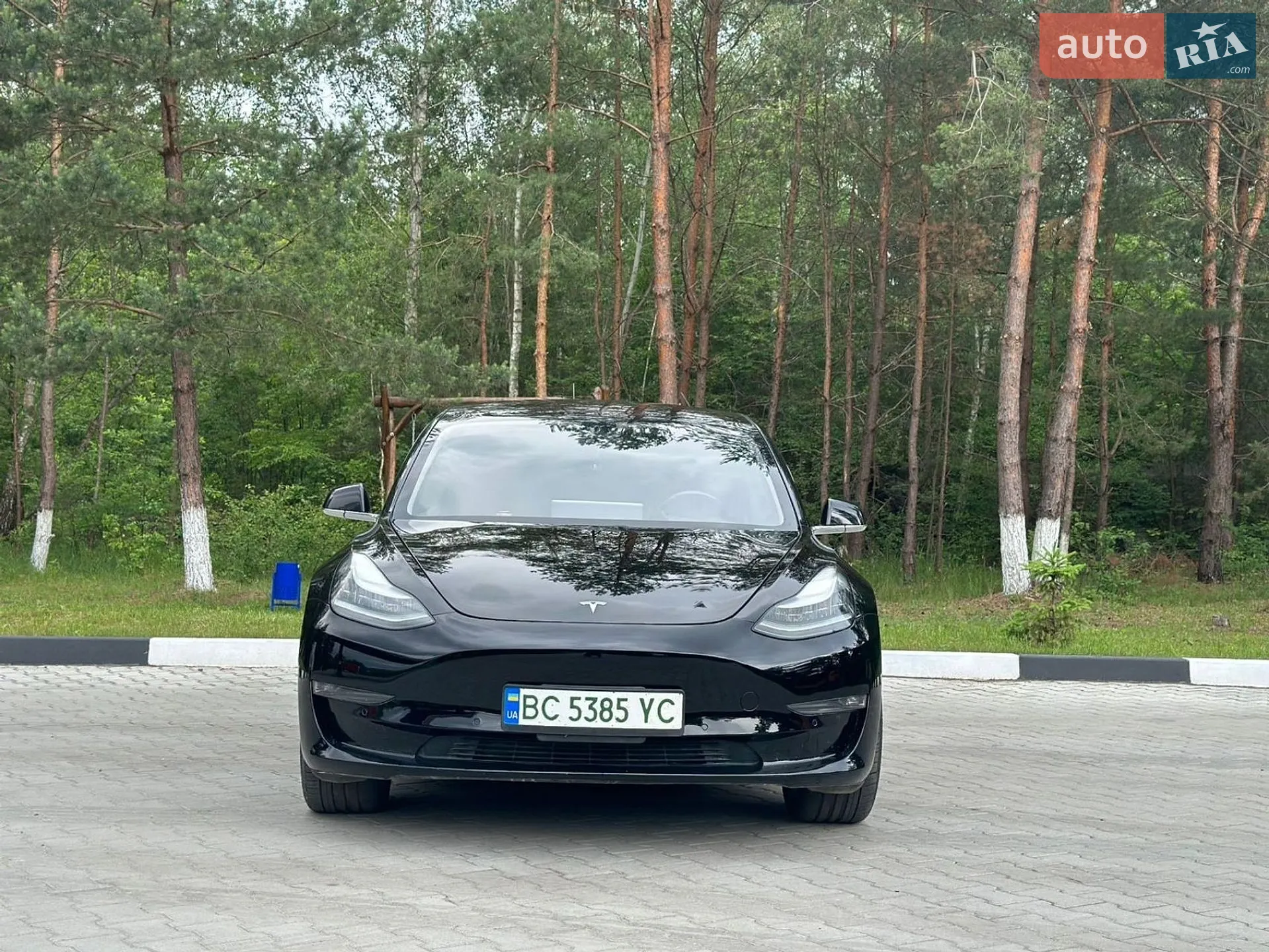 2018 Tesla Model 3 - мініатюра 11