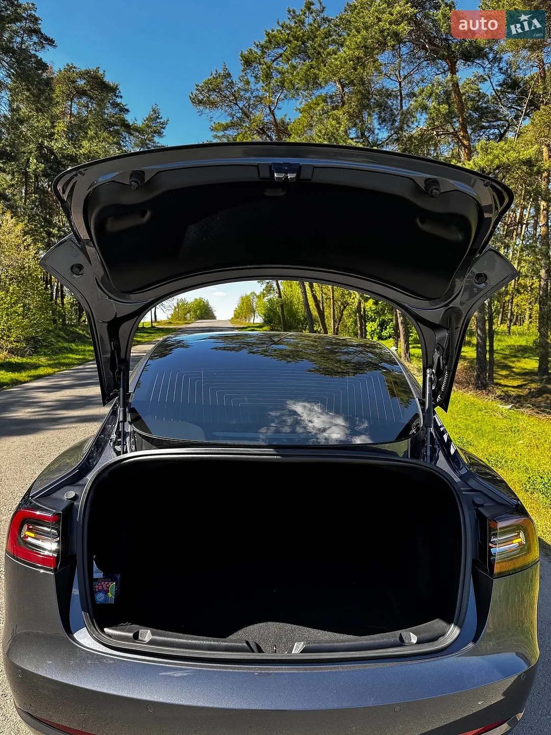 2019 Tesla Model 3 - мініатюра 19