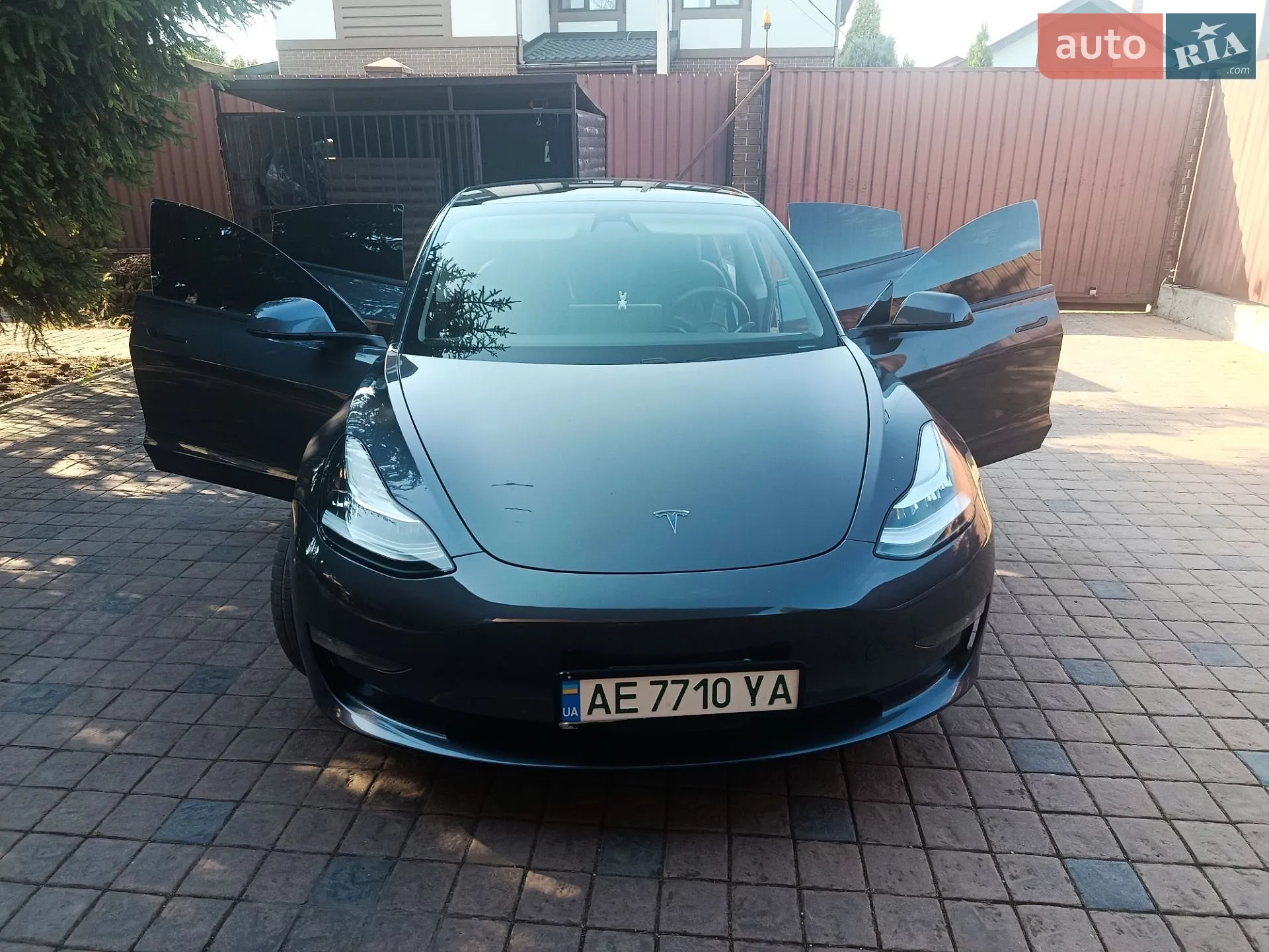 2019 Tesla Model 3 - мініатюра 2