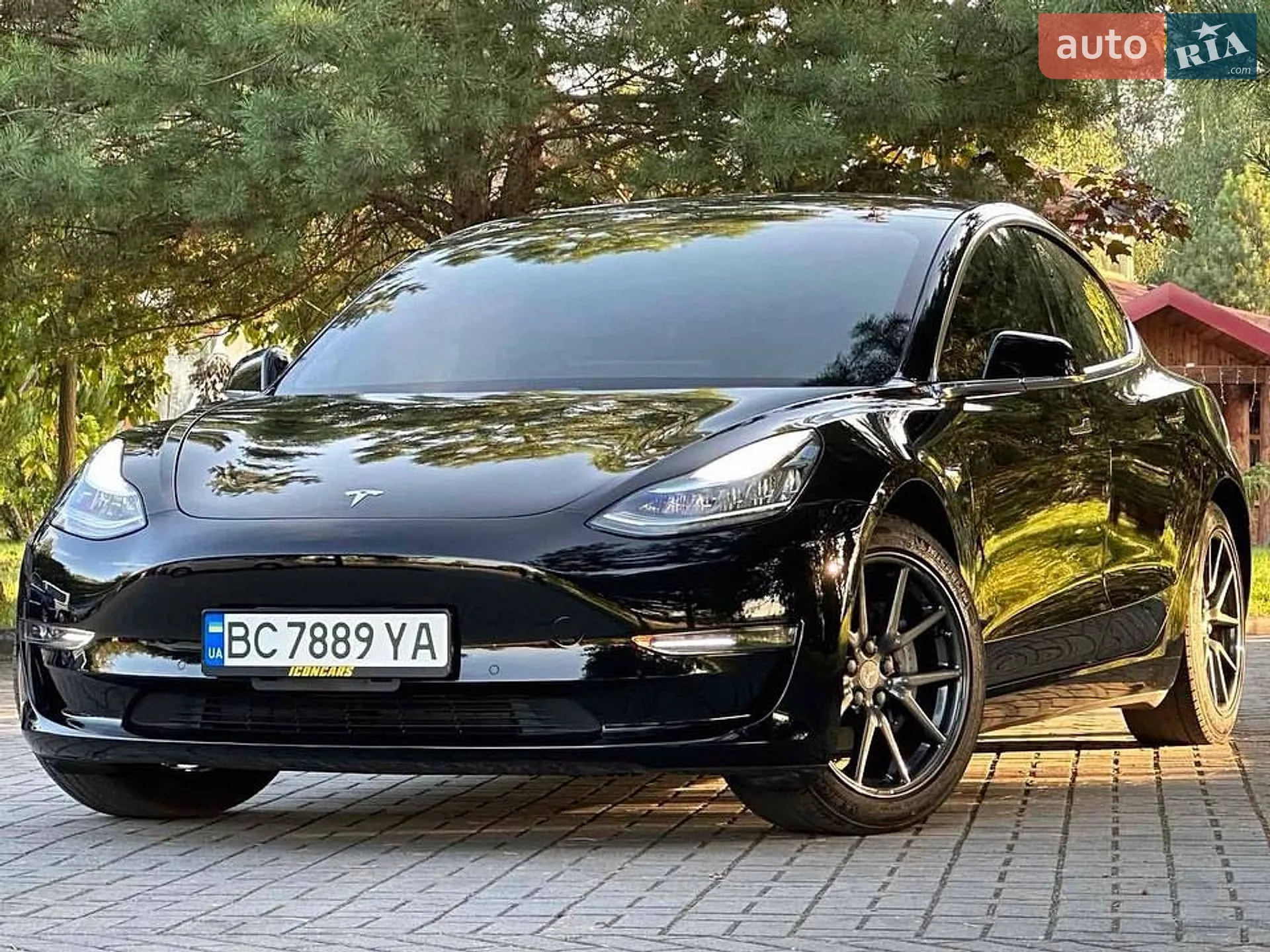 2019 Tesla Model 3 - мініатюра 2