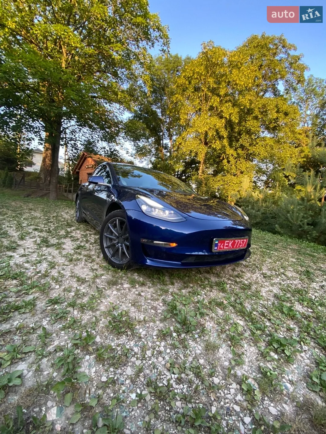 2019 Tesla Model 3 - мініатюра 20