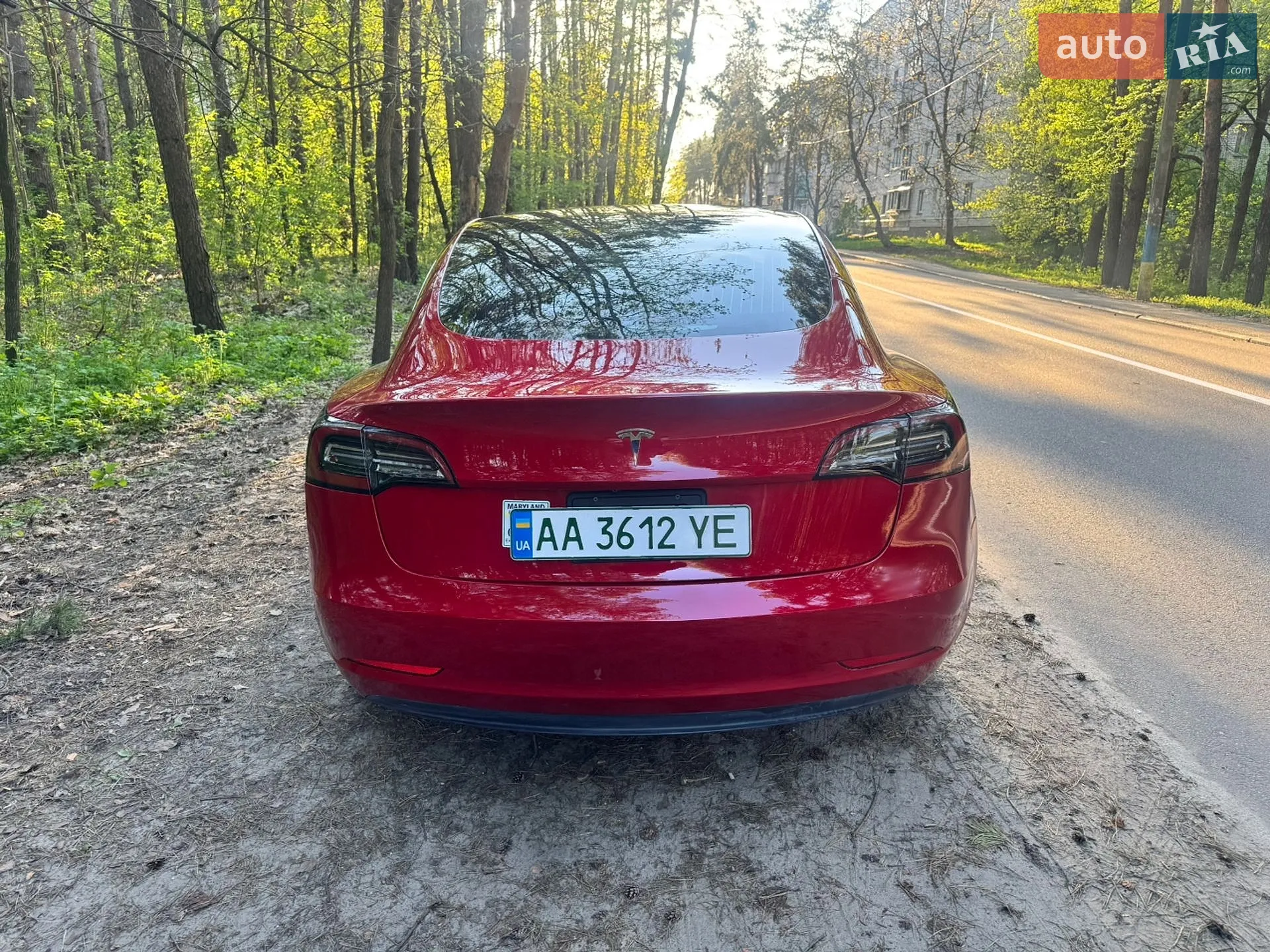 2019 Tesla Model 3 - мініатюра 15