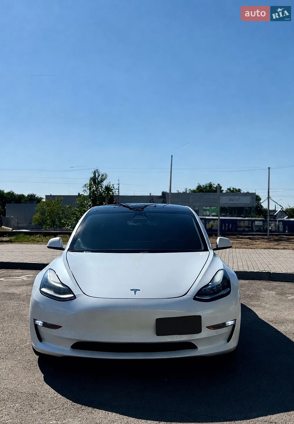 2019 Tesla Model 3 - фото 1
