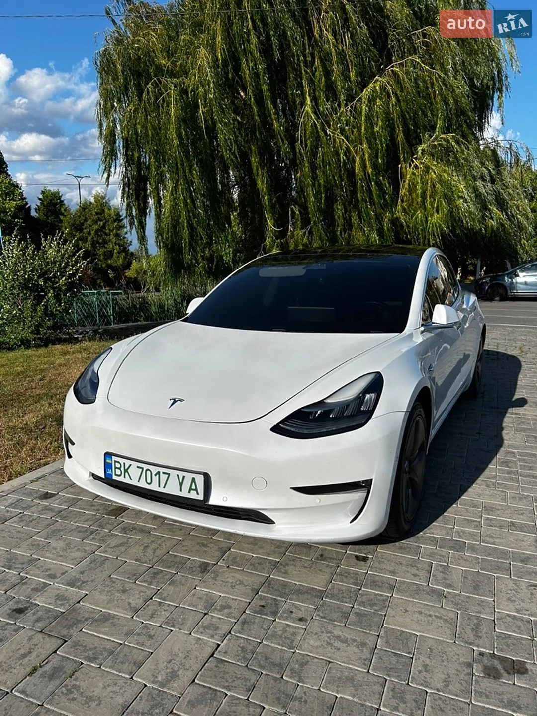 2019 Tesla Model 3 - мініатюра 2