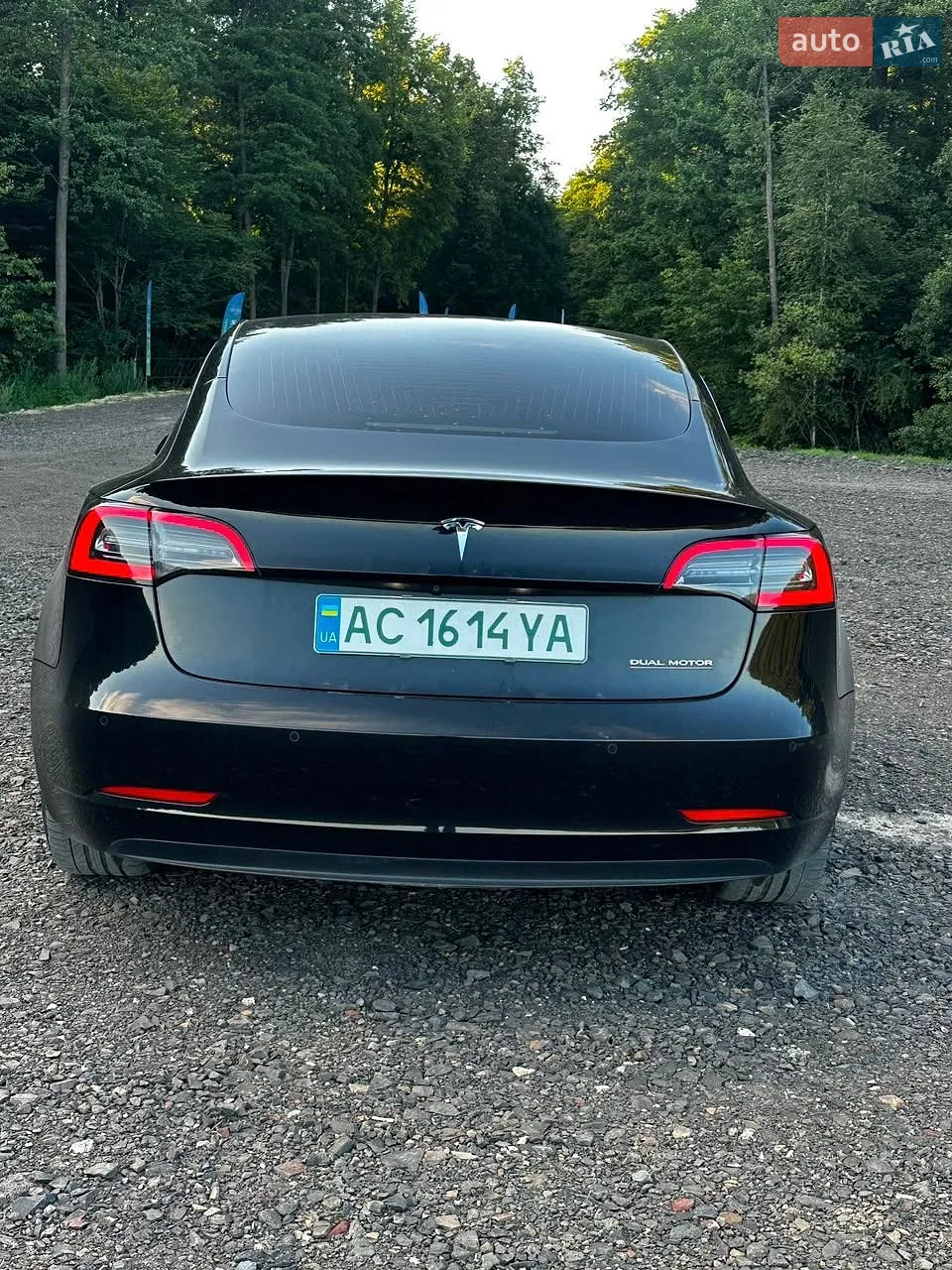 2019 Tesla Model 3 - мініатюра 3