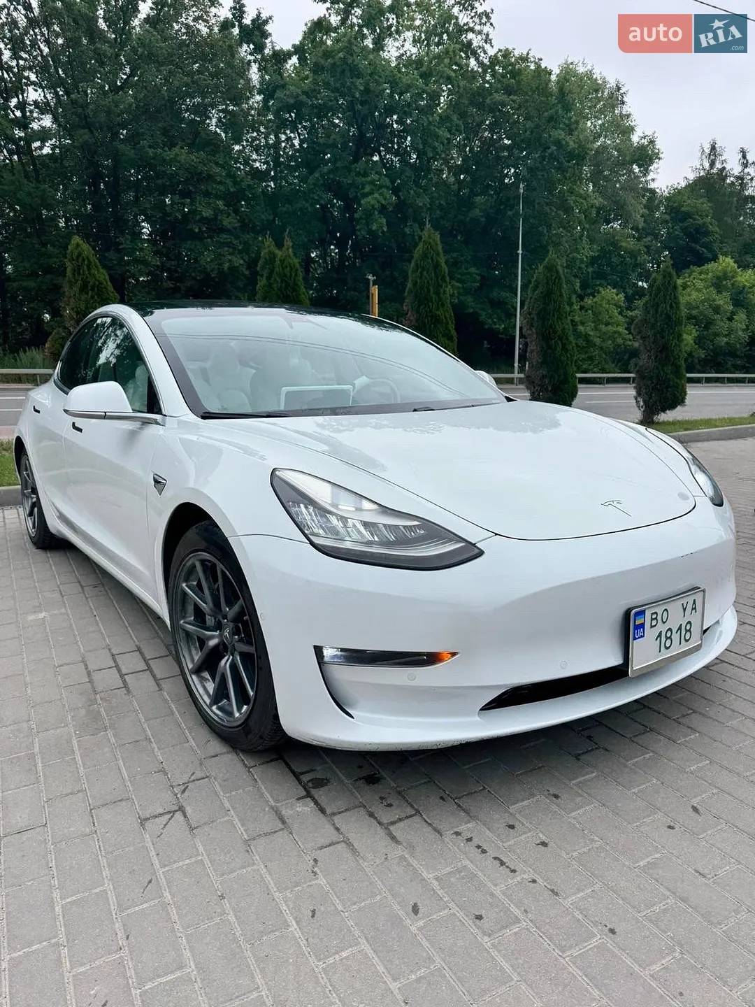 2019 Tesla Model 3 - мініатюра 3
