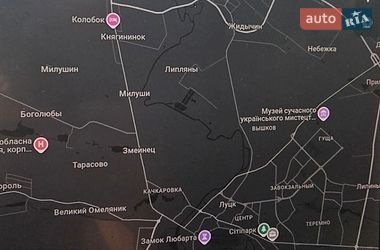 Седан Tesla Model 3 2020 в Луцьку